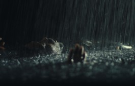 Romain Do · Director of photography