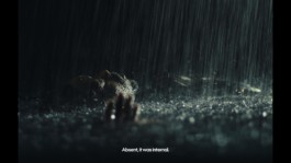 Romain Do · Director of photography