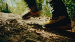 Romain Do · Director of photography