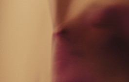 Romain Do · Director of photography