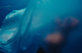 Romain Do · Director of photography