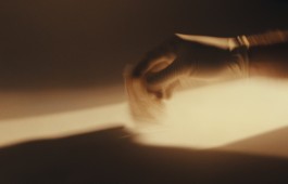 Romain Do · Director of photography