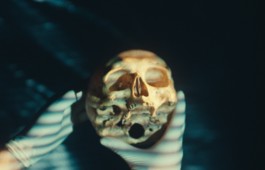 Romain Do · Director of photography