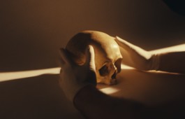 Romain Do · Director of photography