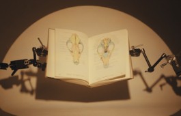 Romain Do · Director of photography