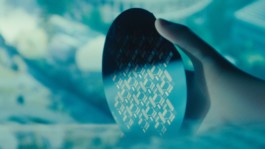 Romain Do · Director of photography