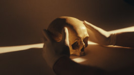 Romain Do · Director of photography